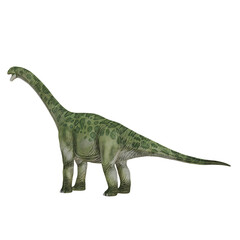 Realistic illustration of a green sauropod dinosaur © Ilie