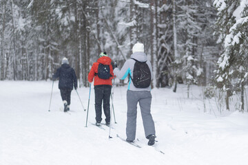 Cross-country skiing in winter