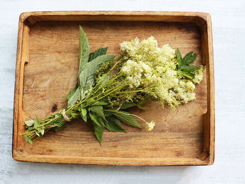 Freshly Picked Meadowsweet and Herbs on a Rustic Wooden Tray