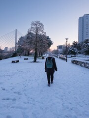 Paysage urbain exceptionnel sous la neige sur l'&icirc;le de Nantes