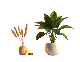 Indoor plants tall pampas grass and leafy foliage beside a small light