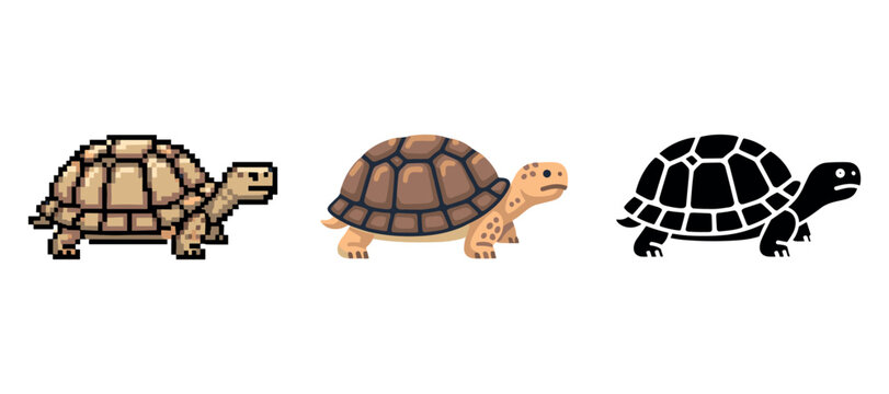 Pixelated, illustrated, and silhouette tortoise designs on white background