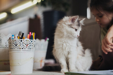 Serene home study with playful feline and attentive young observer