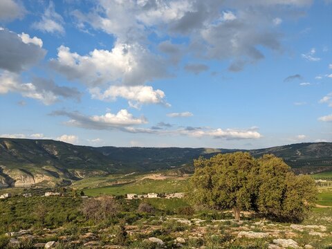 Wadi Zahar is a wadi located in Irbid region, Jordan. Walking the Jordan trail from Umm Qais,mountain panorama landscape view