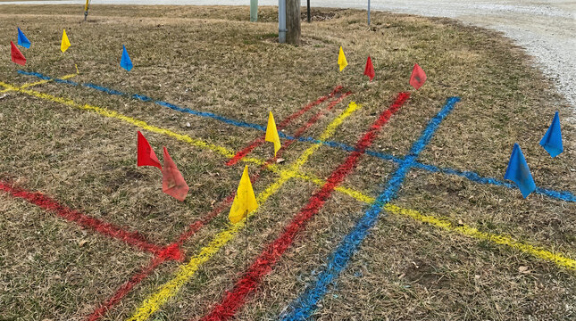 Utility locate flags and spray paint markings on grass for excavation safety