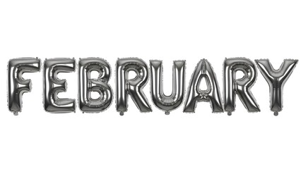 Metallic silver February balloons metallic balloons
