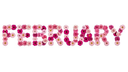 Pink flowers forming the word February roses daisies