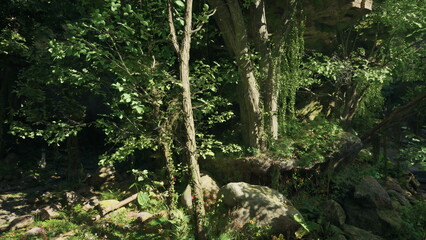 Sunlight filters through the thick canopy of trees, highlighting the rich foliage and colorful flowers in a peaceful forest setting. Birds sing softly, bringing life to the vibrant scene.