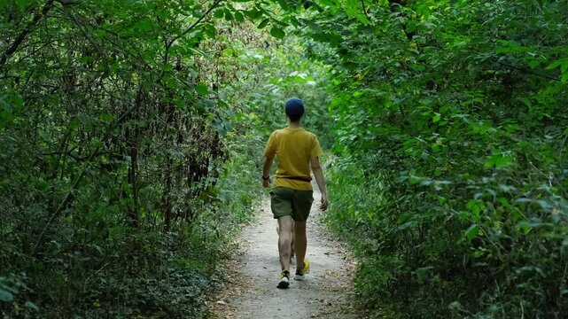 Young woman walking with a German Shepherd dog on a narrow forest path surrounded by dense green foliage. Calm outdoor lifestyle scene with nature, pet companionship, and walking routine. Rear view