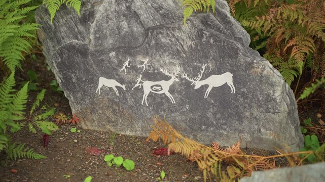 stone rock with white animal silhouettes painted on mossy boulder nestled among ferns, evoking prehistoric hunting scene and ritual, rough granite texture with lichen and soil, muted green and brown