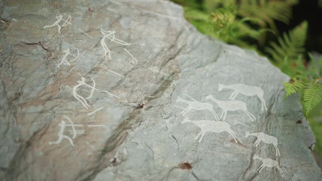 ancient rock with animal petroglyphs, closeup of white deer engravings on textured stone, fern fronds at edge of frame, soft natural light, moss speckles and weathered patina, archaeologist documents