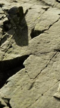 diagonal cracked rock surface presenting linear fracture and subtle mineral grain minimal abstract texture for background or geological study