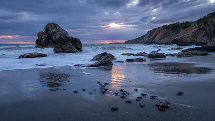 Waves batter rocks as crabs scuttle away