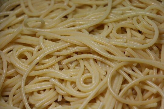 close up of fresh cooked spaghetti