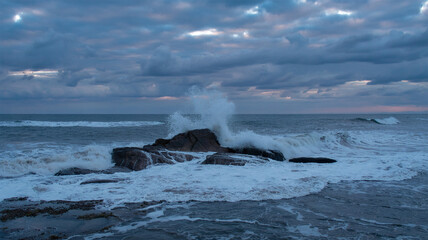 Waves crash on rocks as seals bask nearby