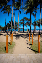 The grounds, pool and beach of the Senator Peurto Plata Hotel in the Dominican Republic, surrounded by palm trees under clear blue skies.
