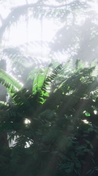 Sunlit fern cluster with intricate frond detail, dew highlights and layered foliage textures, closeup botanical study ideal for education, print and scientific
