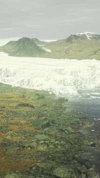 Tundra leading to glacier edge, mossy slopes and scattered stones, subtle contrast between green foreground and icy crest, site for ecological observation