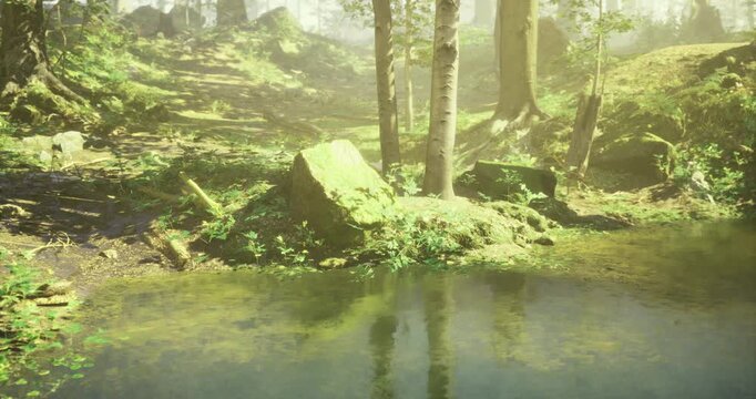 A peaceful forest scene features a clear pond surrounded by vibrant green plants and tall trees. Soft sunlight filters through the canopy, creating a calm and serene atmosphere.