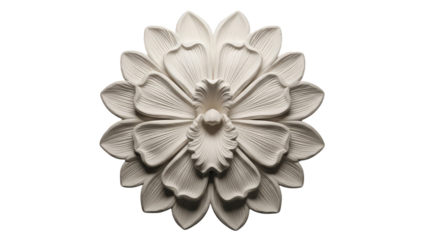 Detailed classical plaster floral medallion, an ornate three-dimensional architectural rosette for elegant interior design