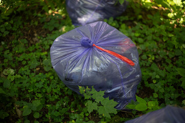 Bags of rubbish. Cleaning in the park. Lots of bags of waste.