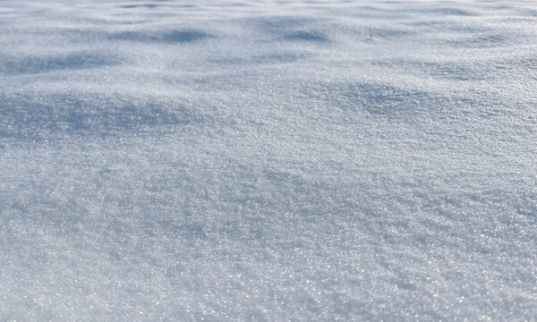Fresh Snow Surface Background In Cold Daylight