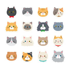 Cute cat faces vector illustration bundle featuring hand-drawn cat heads. Includes various breeds such as Scottish Fold, Siamese, Persian, Calico, and British Shorthair.