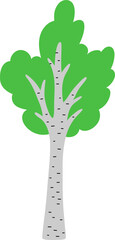 Vector green birch tree icon isolated on white background. Garden or forest plant with twigs and leaves. Flat spring, Easter village or farm illustration. Natural greenery picture