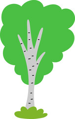 Vector green birch tree icon isolated on white background. Garden or forest plant with twigs and leaves. Flat spring, Easter village or farm illustration. Natural greenery picture