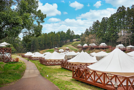 Luxury Japanese glamping site featuring white canvas bell tents on elevated wooden platforms nestled within a lush forest under a bright blue sky for travelers seeking a premium nature escape vibe.