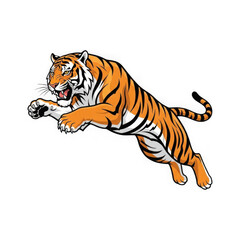 Obraz premium Vibrant orange tiger jumping forward isolated on transparent background