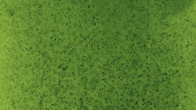 Close-up of green organic matter, micro particles, and bubbles moving in liquid. Abstract biological texture, polluted water, or cellular research concept. High resolution macro footage.