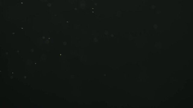Slow moving dust particles drifting in the water against a deep black background, creating a cinematic atmosphere perfect for overlays