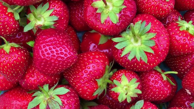 Red organic  strawberries rotated clockwise, top view