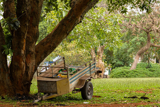 Uma velha carreta reboque em meio a natureza