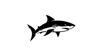 Obraz premium Adobe Illustrator Artwork