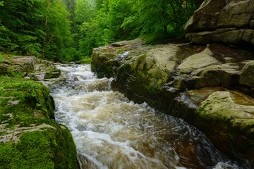 Fotobehang Bos rivier mountain river flows through green forest landscape with mossy stones  © Svitlana