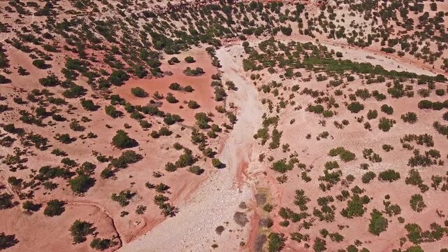 Aerial view on mountains with argan trees in their natural habitat - in Morocco, 4k