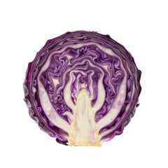 Close-up of a Purple Cabbage Half Revealing Organic Swirls