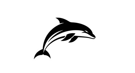 Fototapeta premium Adobe Illustrator Artwork