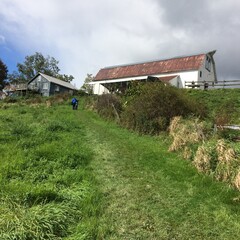Person walking up grassy hill path toward rustic red-roofed white barn and gray house amid green foliage and trees under cloudy skies in rural autumn farm landscape