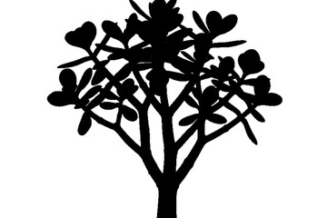 Obraz premium Silhouette Tree against Light: An artistic, high-contrast silhouette of a tree, showcasing its intricate branch structure and leafy foliage, is a tribute to the beauty of natural form.