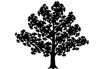 Fototapeta premium Oak Silhouette: A stark black silhouette of a majestic oak tree, its branches reaching skyward. This image is a bold representation of natural beauty.
