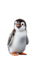 Adorable baby penguin standing upright with fluffy feathers and bright orange feet against a plain background