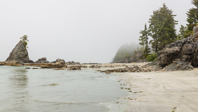 Bamfield Brady's Beautiful Sea Stacks beach