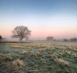 Misty morning view of English farmland. Sunrise over fields