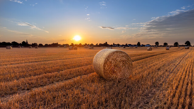 Strohballen auf einem Feld im wundersch&ouml;nen goldenen Sonnenuntergang