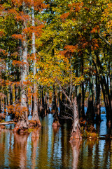 Peak color at Horseshoe Lake.