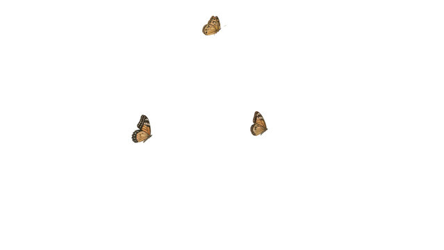 Watercolor floral seamless pattern with colorful wildflowers, leaves, plants and flying ies. Panoramic horizontal isolated illustration. Garden background in vintage style.