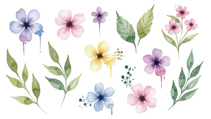 Watercolor flower and leaves element collection